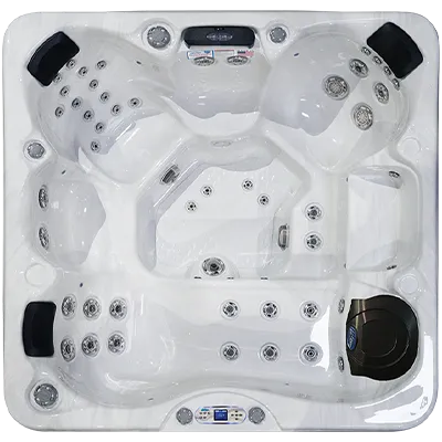 Avalon EC-849L hot tubs for sale in Decatur