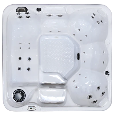 Hawaiian PZ-636L hot tubs for sale in Decatur